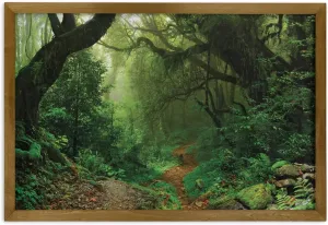 Ambesonne Rainforest Framed Wall Art, Forest in Nepal Touristic Trekking Branches Misty Road Fresh Air Outdoors Theme, Fabric Poster with Walnut Tone Wood Frame Home Dorm Decor, 23" x 35", Green Brown