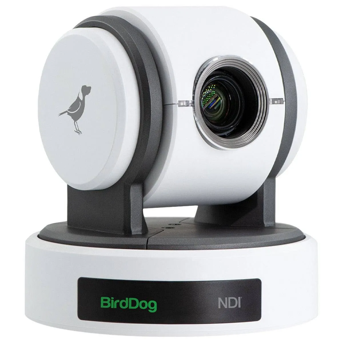 BirdDog Eyes P100 1080P Full NDI PTZ Camera with SDI (White)