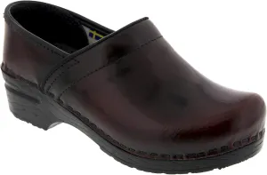 BJORK Swedish Comfort Women's Professional Leather Clogs