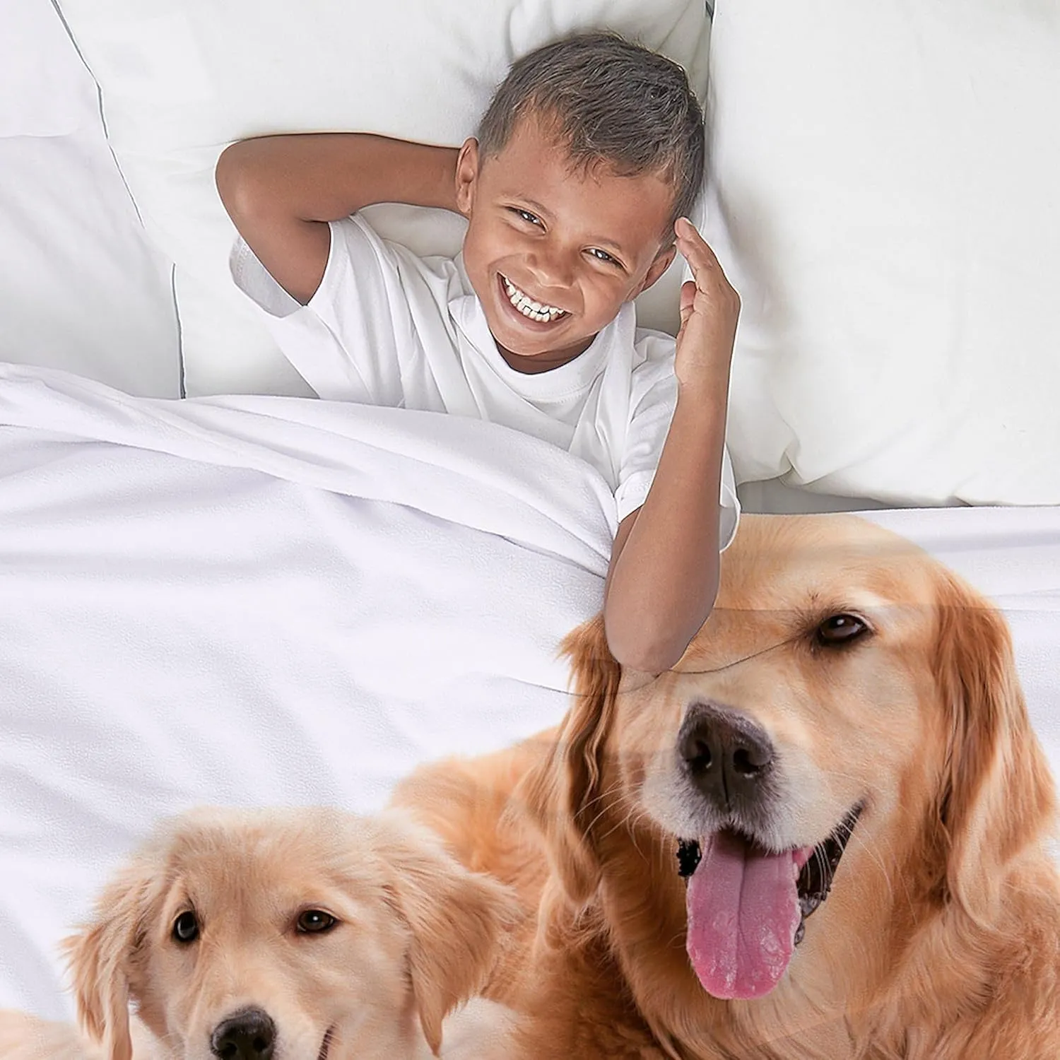 CafePress Golden Retriever Buddies Throw Blanket Super Soft Fleece Plush Throw Blanket, 60"x50"