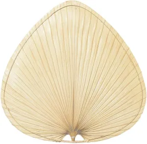Fanimation Islander 22 inch Ceiling Fan Wide Oval Palm Blade Set of 5