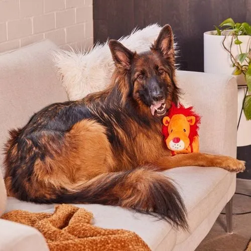 Happy Tails - XL Tough Lion Plush Toy