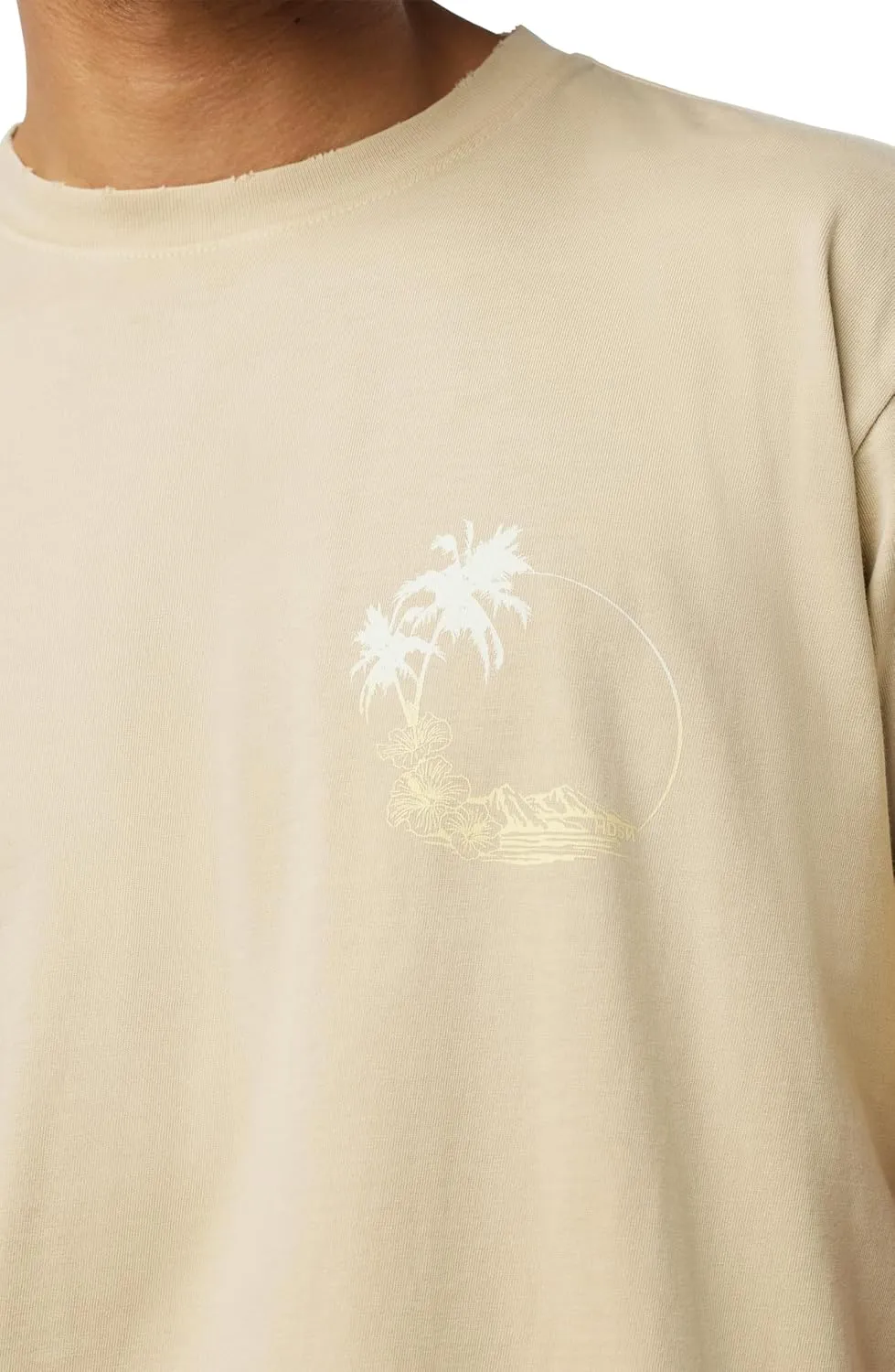 HUDSON Men's Vintage Tee