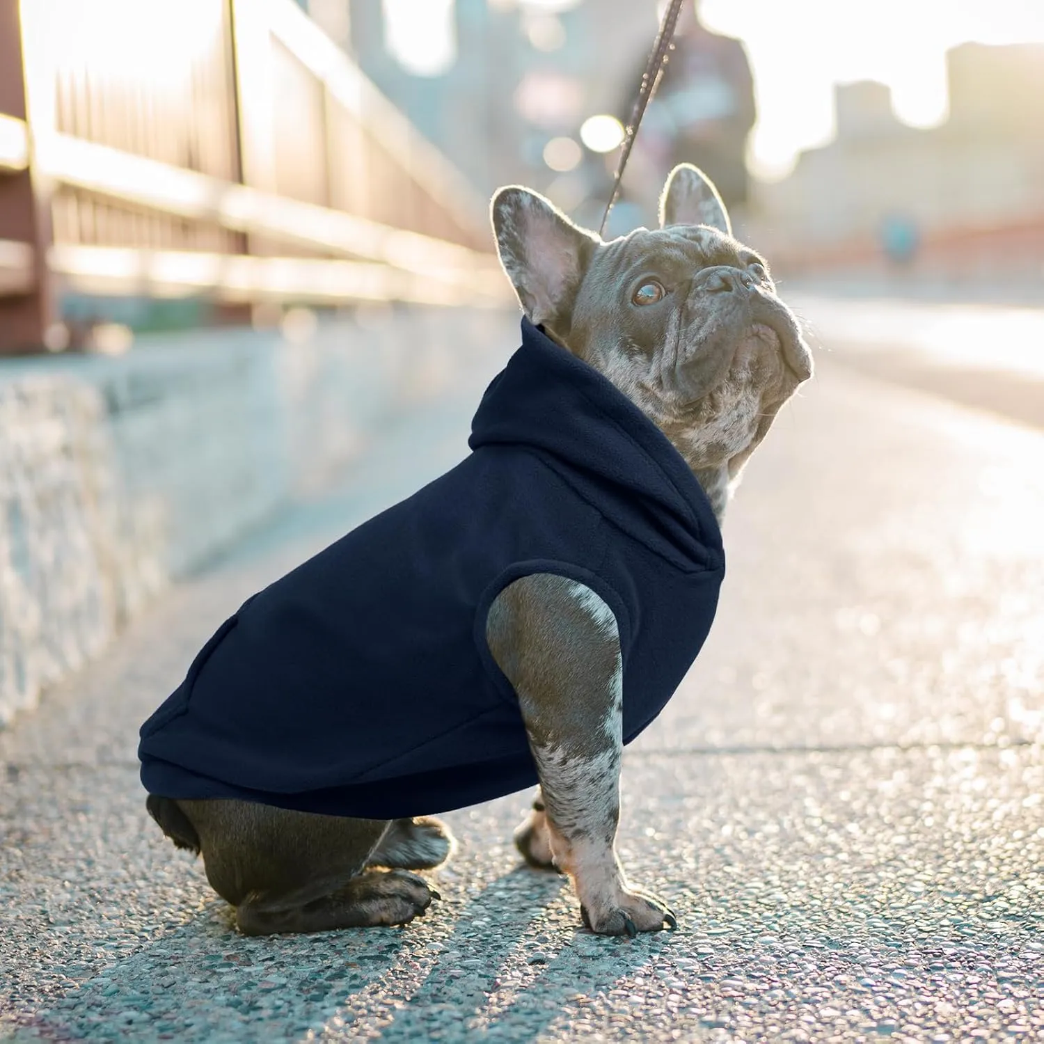 IECOii XL Dog Sweater & Pullover Hoodie for Large Dogs, Warm Fleece Layer with Hood for Cold Weather, Boys & Girls Blue, Size XL