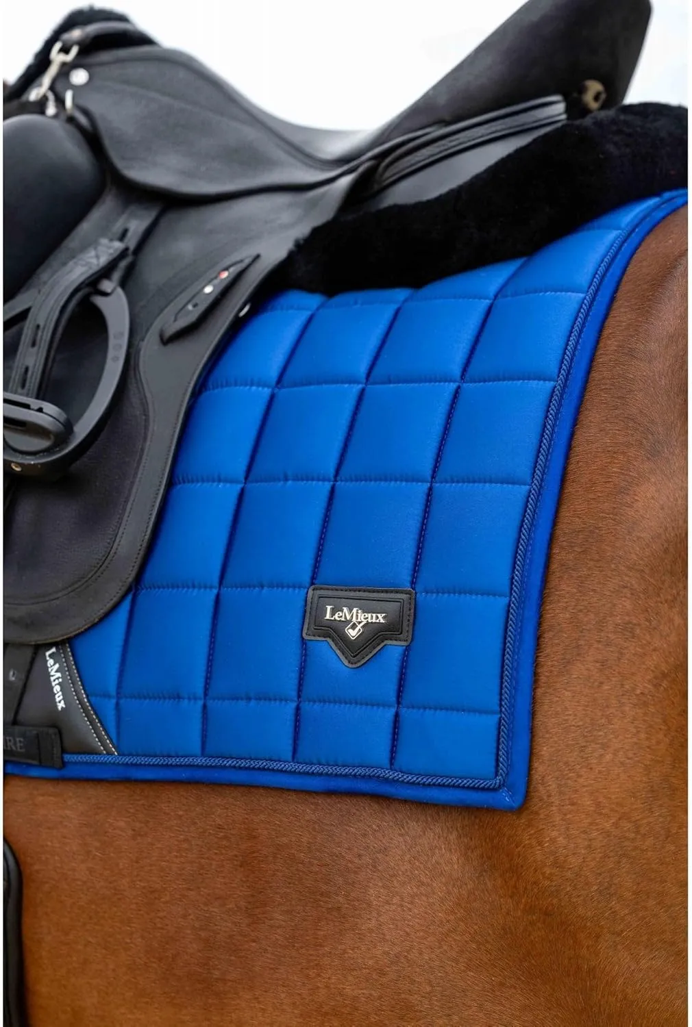 LeMieux Loire Classic Dressage Square - Woven Satin Fabric - Breathable & Soft - Bamboo Lining - Saddle Pads for Horses - Equestrian Riding Equipment and Accessories