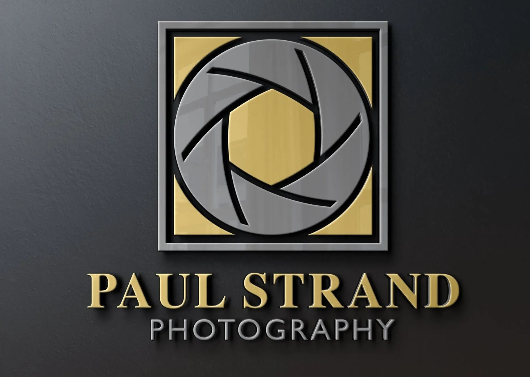 Logo Design - Photographer Logo | Photography Studio | Gallery | Camera Logo | Camera Lens Design