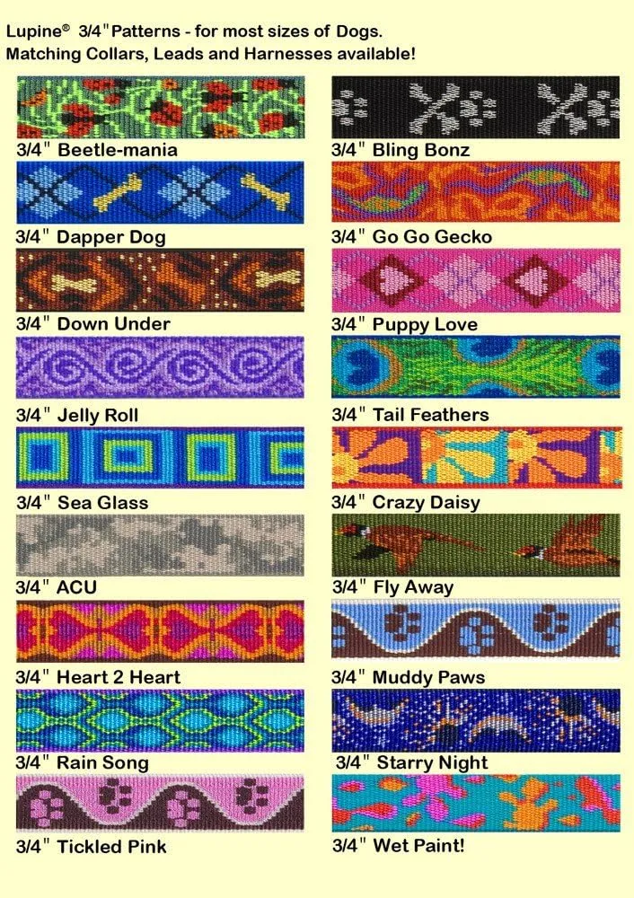 LupinePet Originals 3/4" Sea Glass 9-14" Adjustable Collar for Small Dogs