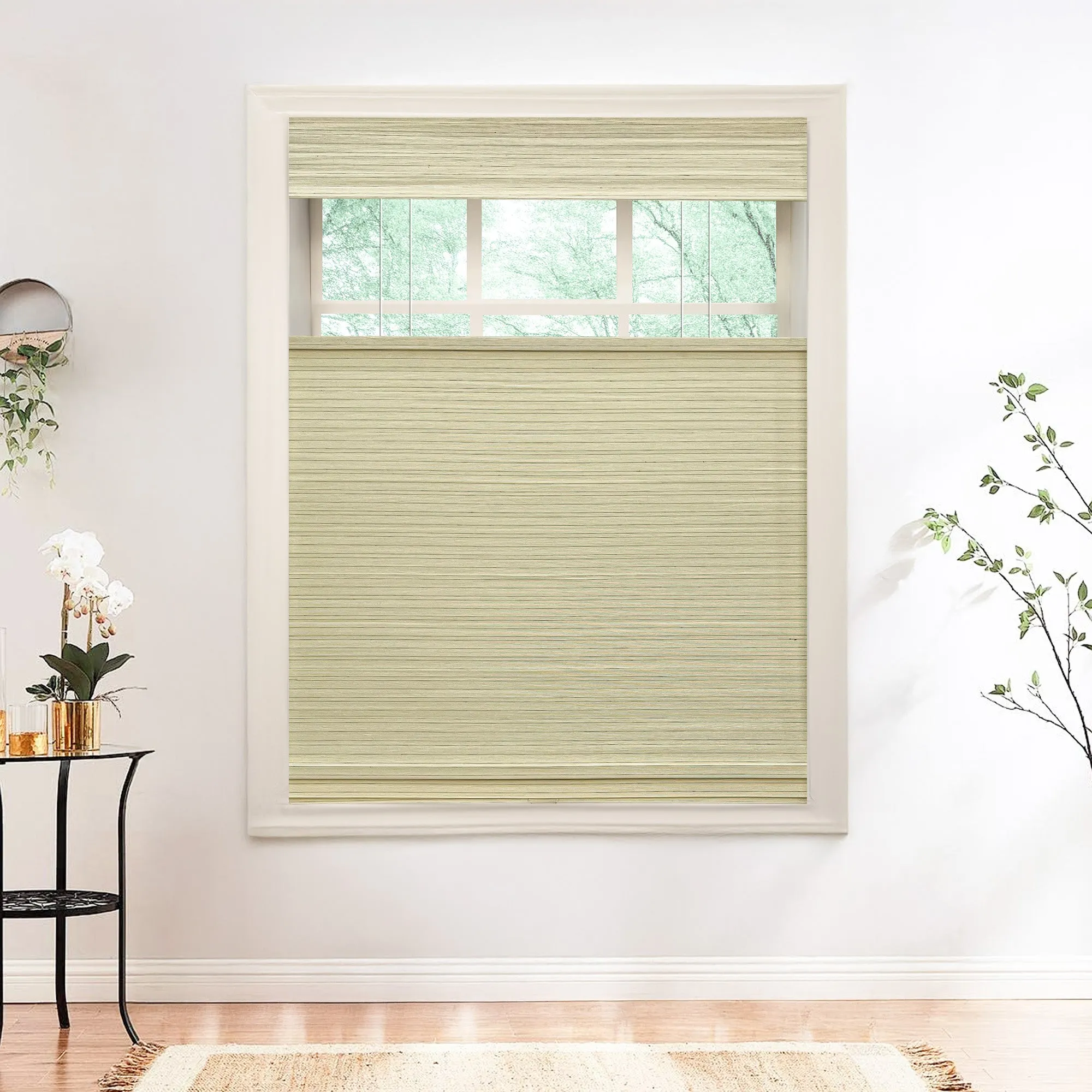 Nomi Woven Bamboo Blinds & Shades Top Down Bottom Up | Birch Forest