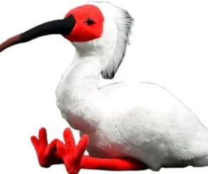 Realistic Ibis Bird Crested Ibis Plush Toy，10''Red Crested Ibis Stuffed Animal, Simulation Bird Plushies Collection,Wild Animal Gift for Kids