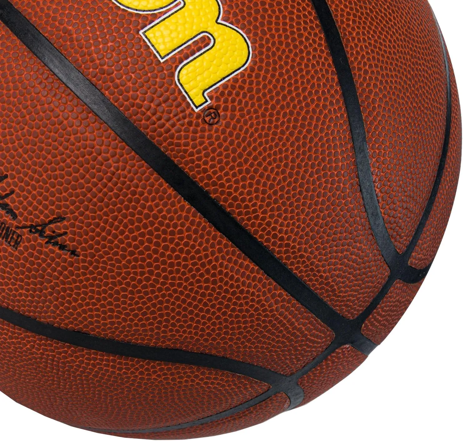 WILSON NBA Team Alliance Basketballs - Size 7-29.5"